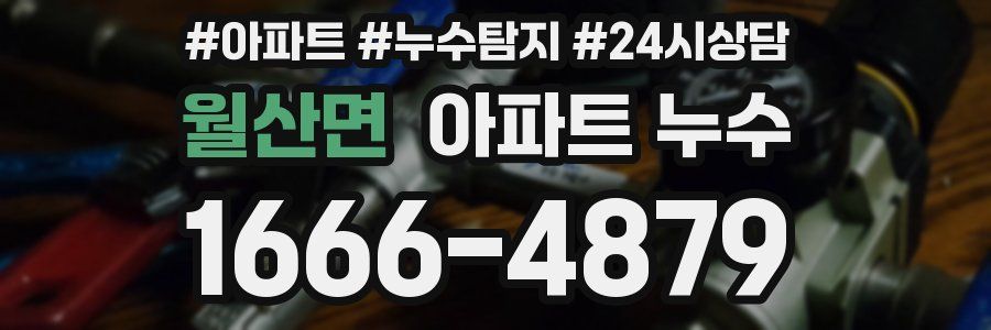 월산면 누수탐지