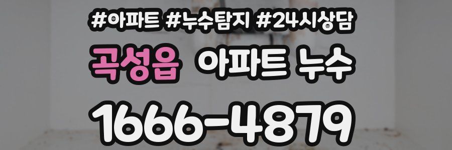 곡성읍 누수탐지