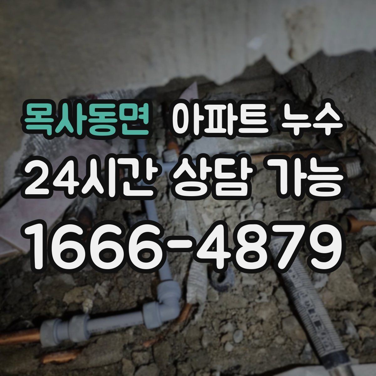 목사동면 아파트 누수 변기 주변 바닥이 축축할 때 확인