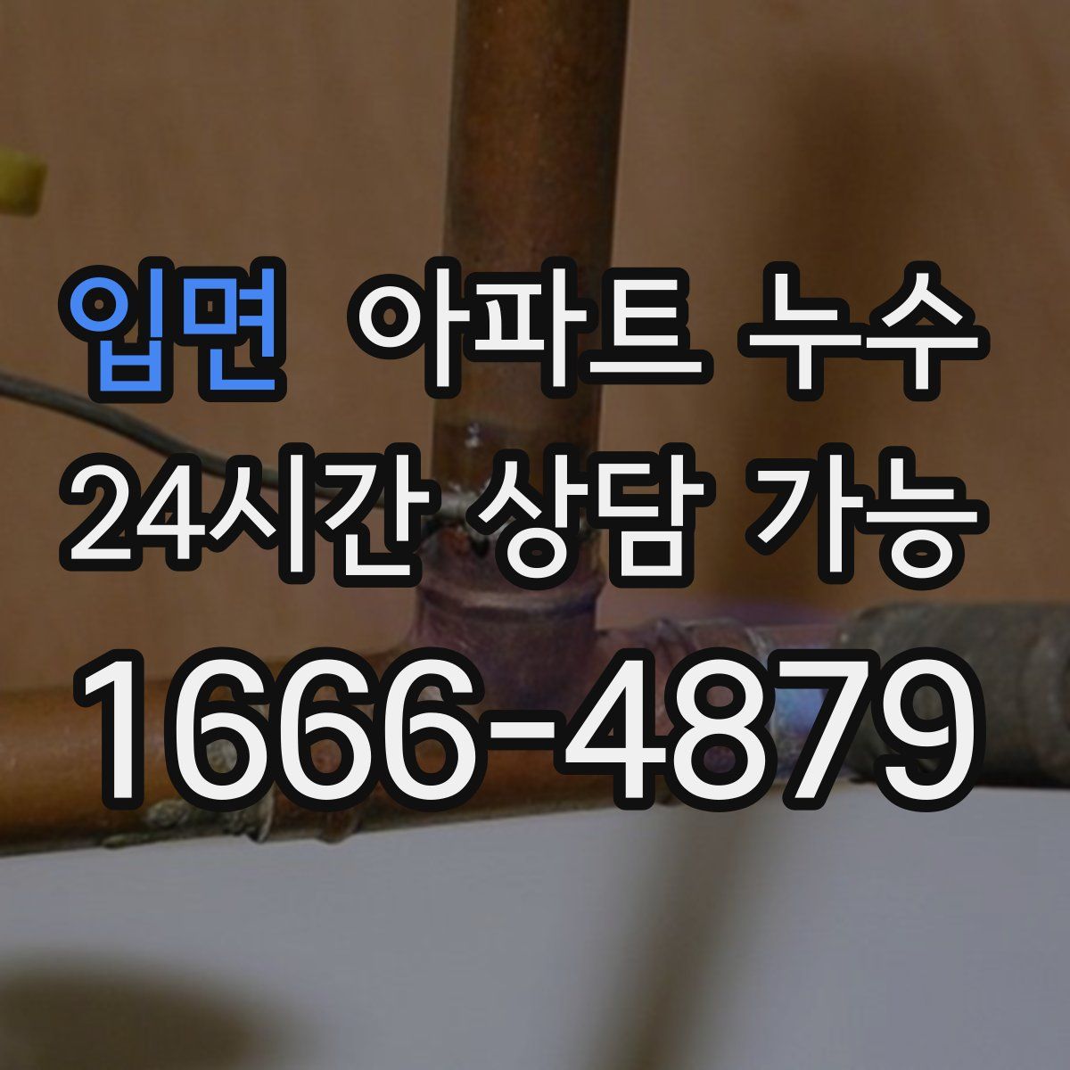 입면 아파트 누수탐지