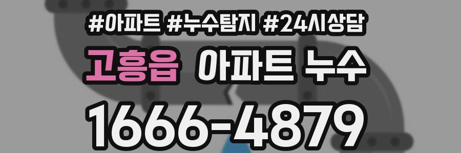 고흥읍 누수탐지