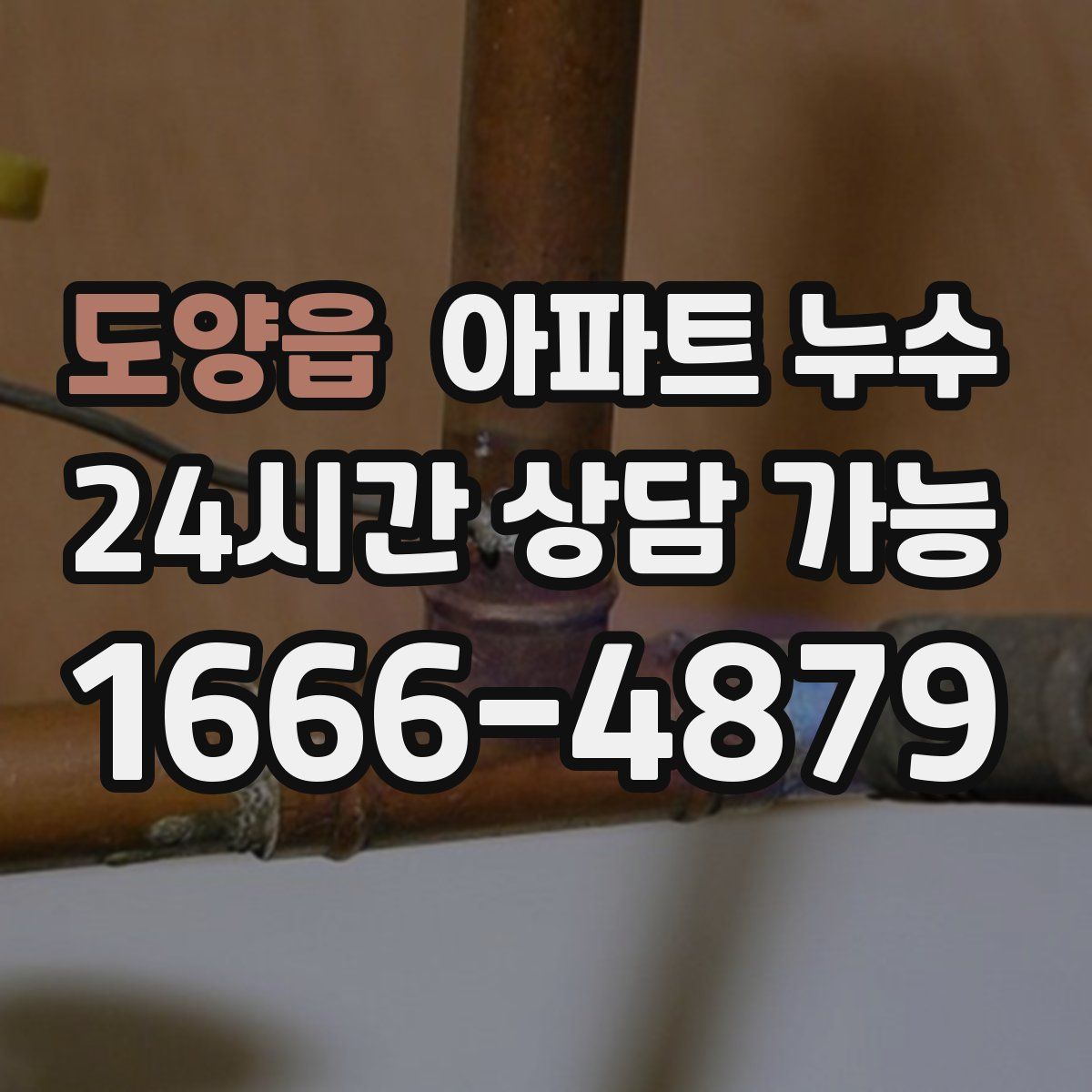 도양읍 아파트 누수탐지