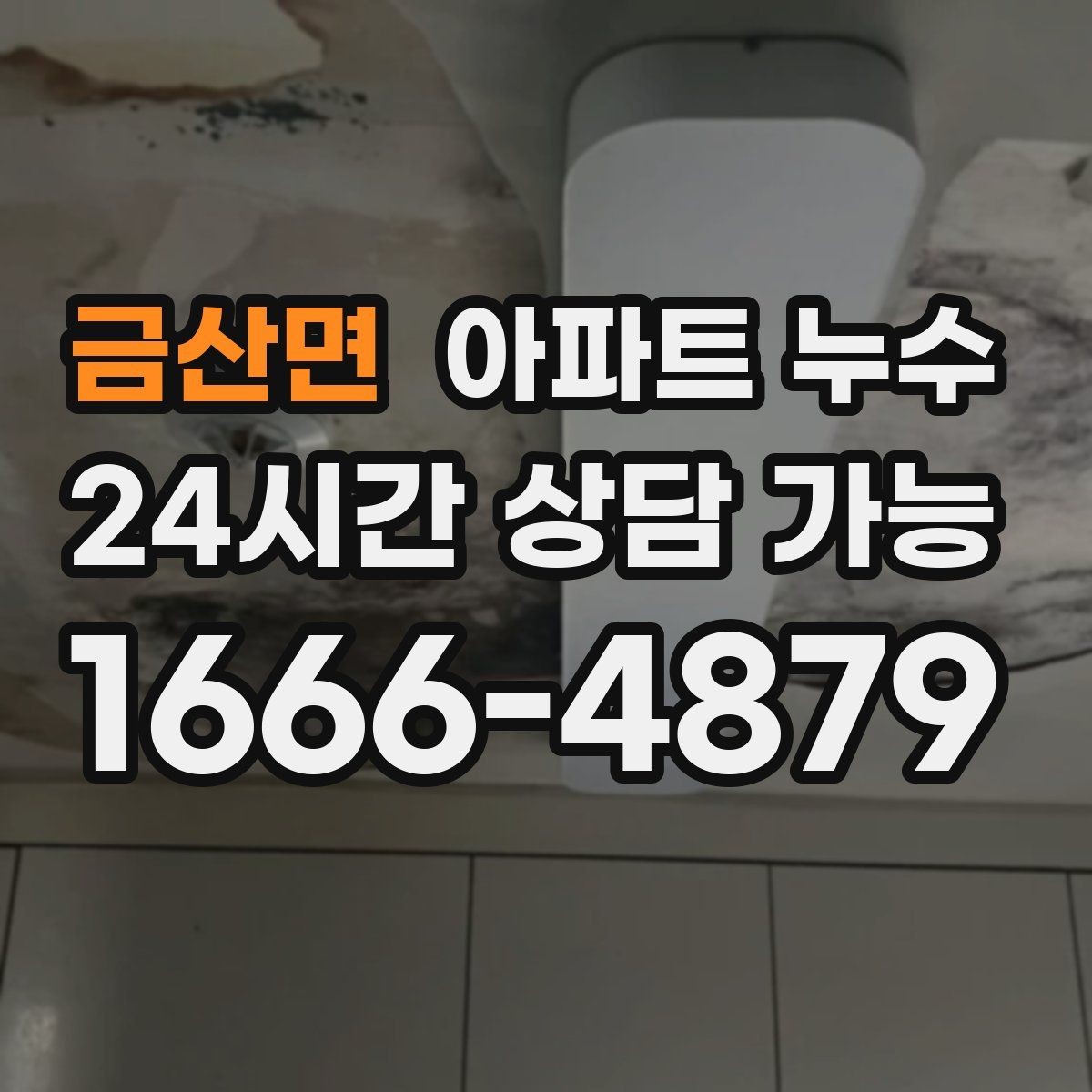 금산면 아파트 누수 이사 직후 발견했을 때 당황하지 않는 현장 체크 정리