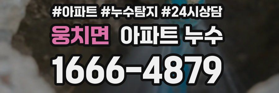 웅치면 누수탐지