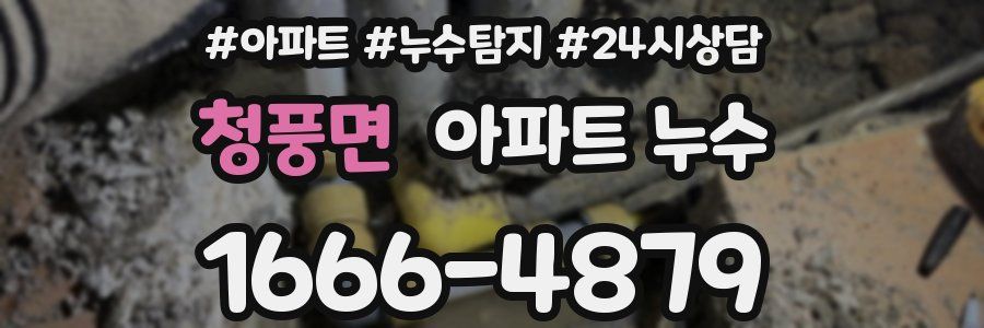 청풍면 누수탐지