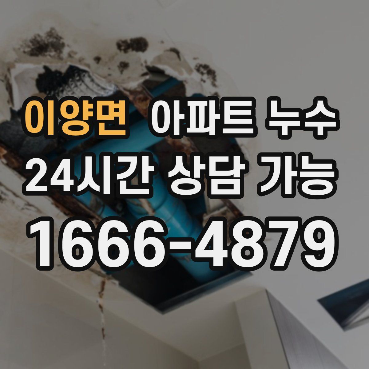 이양면 아파트 누수탐지