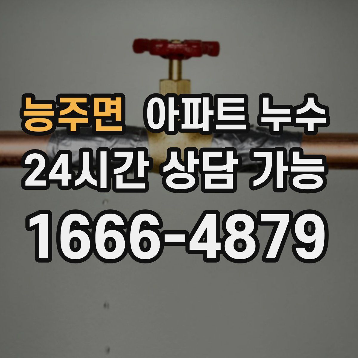 능주면 아파트 누수탐지
