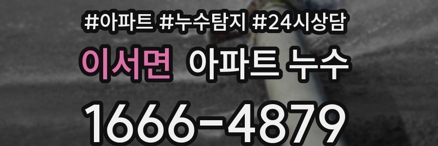 이서면 누수탐지