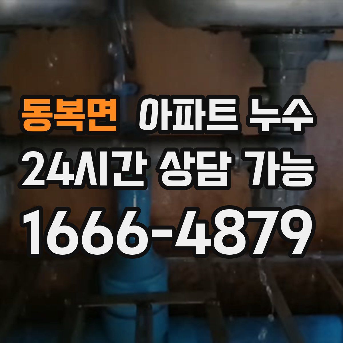 동복면 아파트 누수탐지