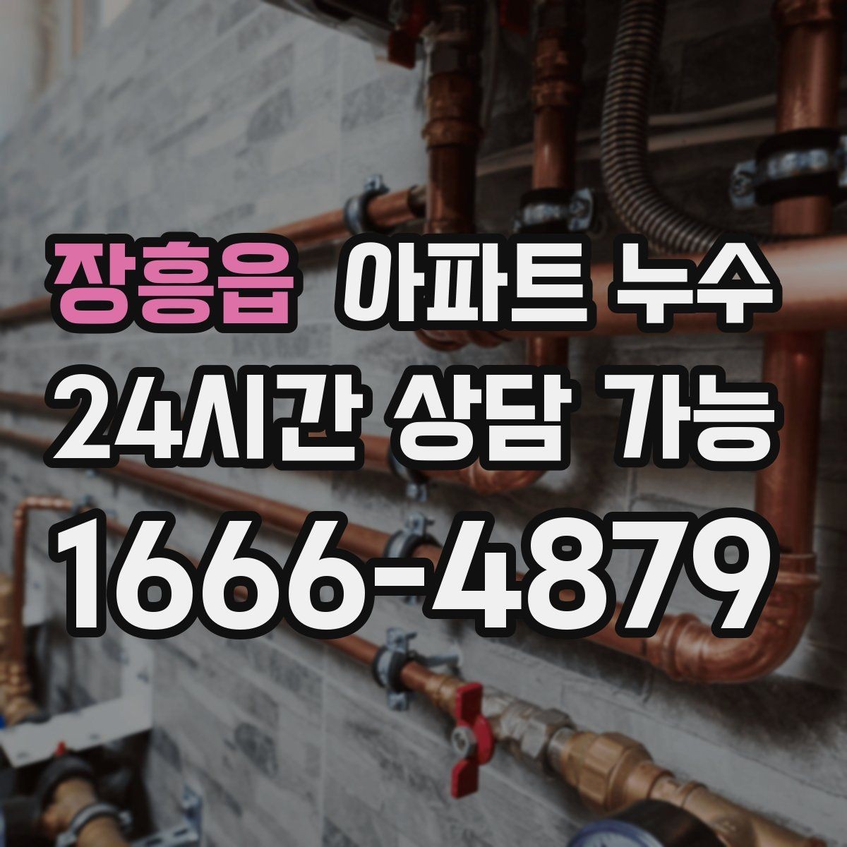 장흥읍 아파트 누수 결로와 헷갈릴 때 구분 기준 정리