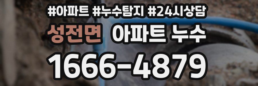 성전면 누수탐지