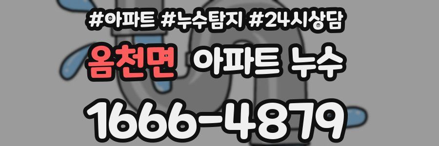 옴천면 누수탐지