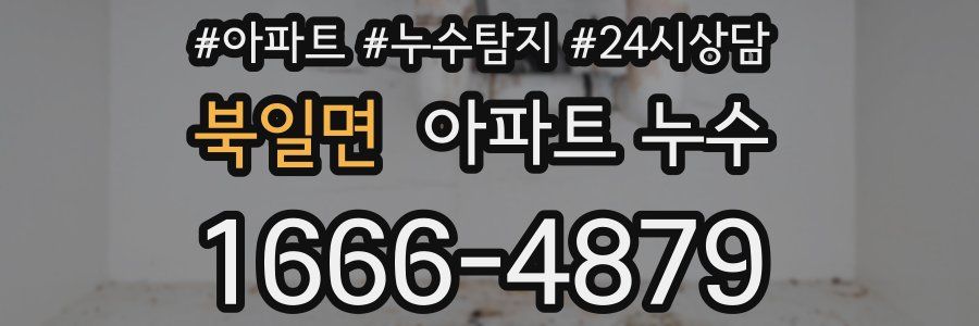 북일면 누수탐지