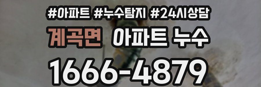 계곡면 누수탐지