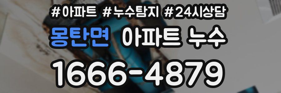 몽탄면 누수탐지