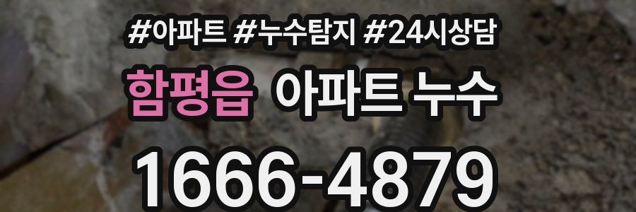 함평읍 누수탐지