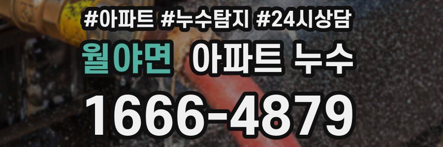 월야면 누수탐지