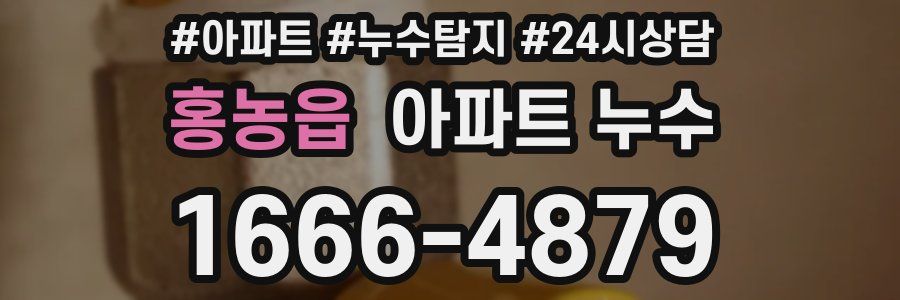 홍농읍 누수탐지