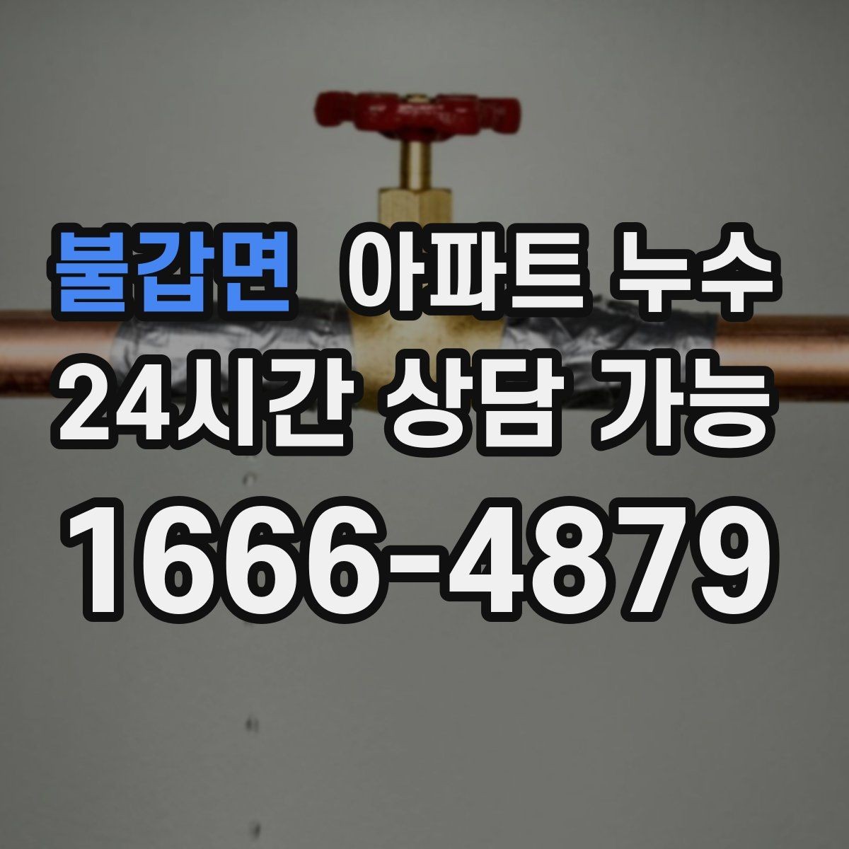 불갑면 아파트 누수 증상별 점검 우선순위 정리
