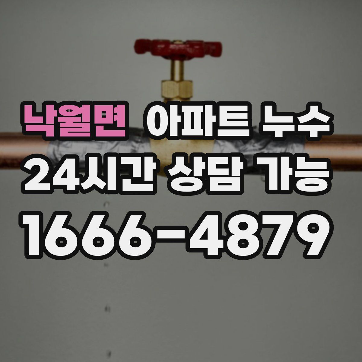 낙월면 아파트 누수탐지