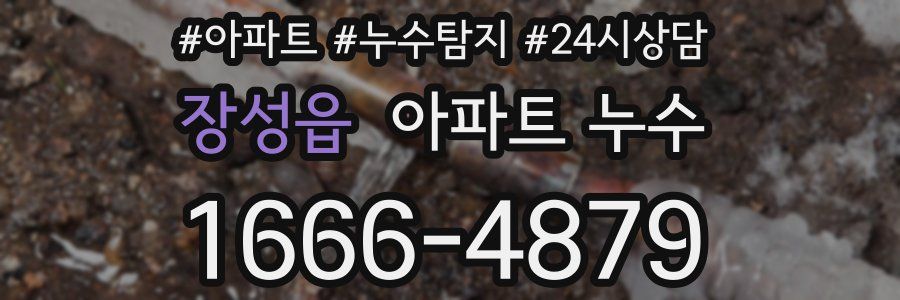 장성읍 누수탐지