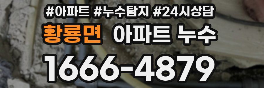 황룡면 누수탐지