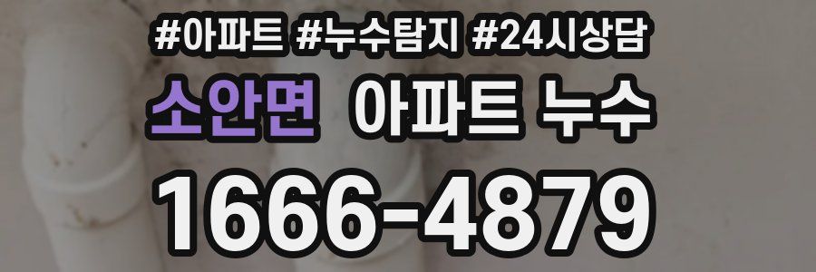 소안면 누수탐지