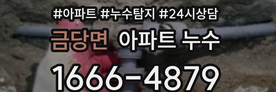 금당면 누수탐지