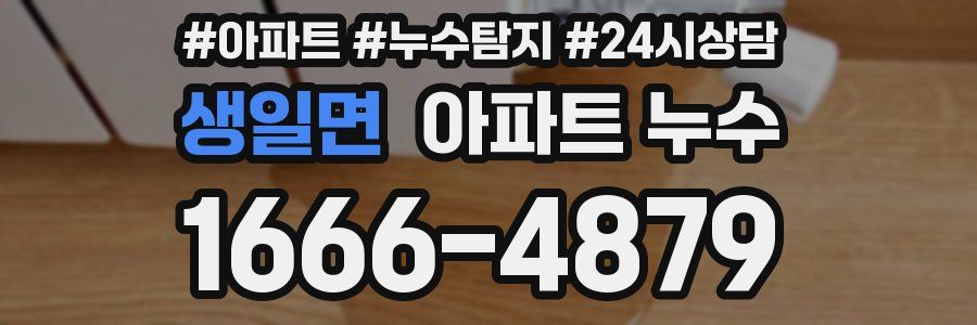 생일면 누수탐지