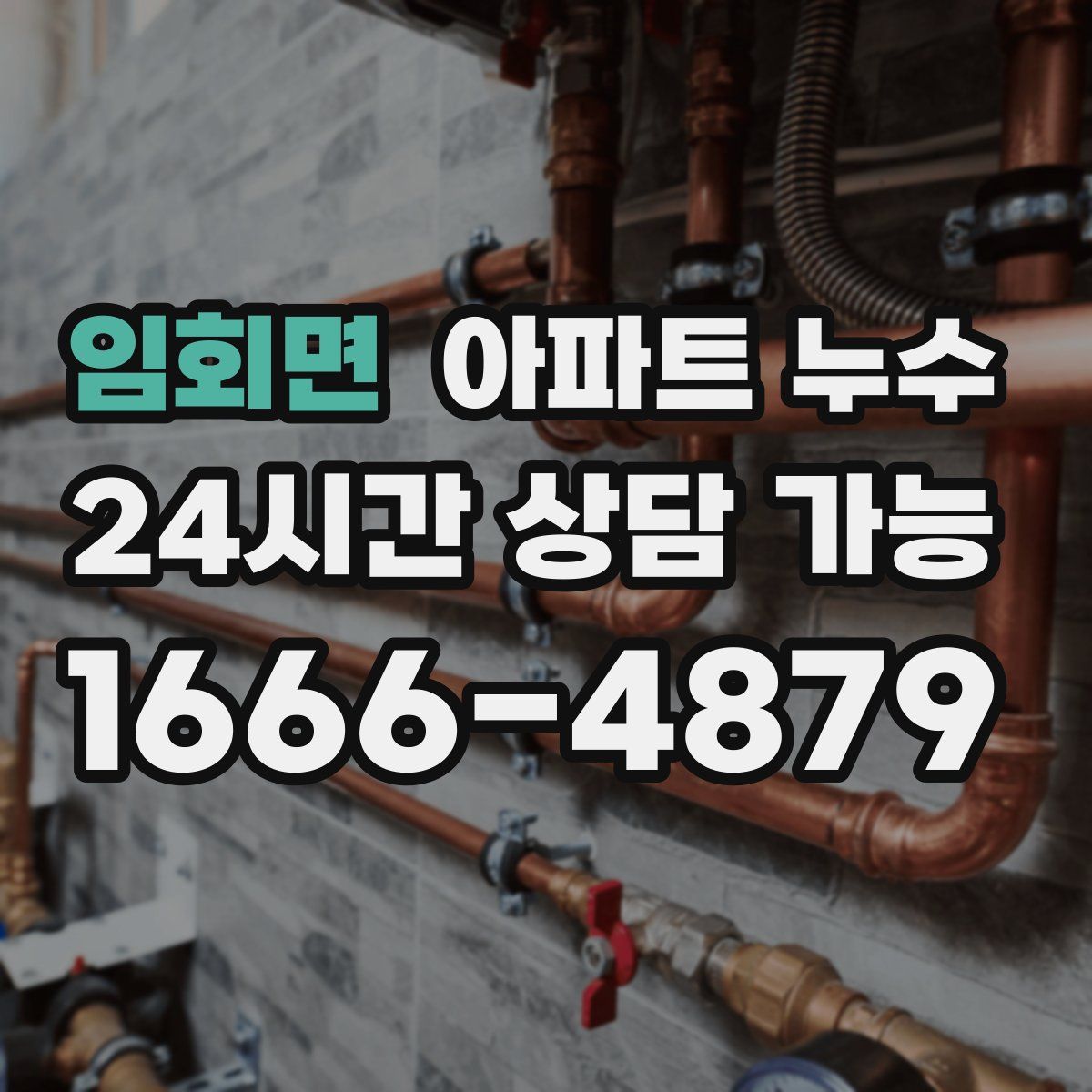 임회면 아파트 누수탐지