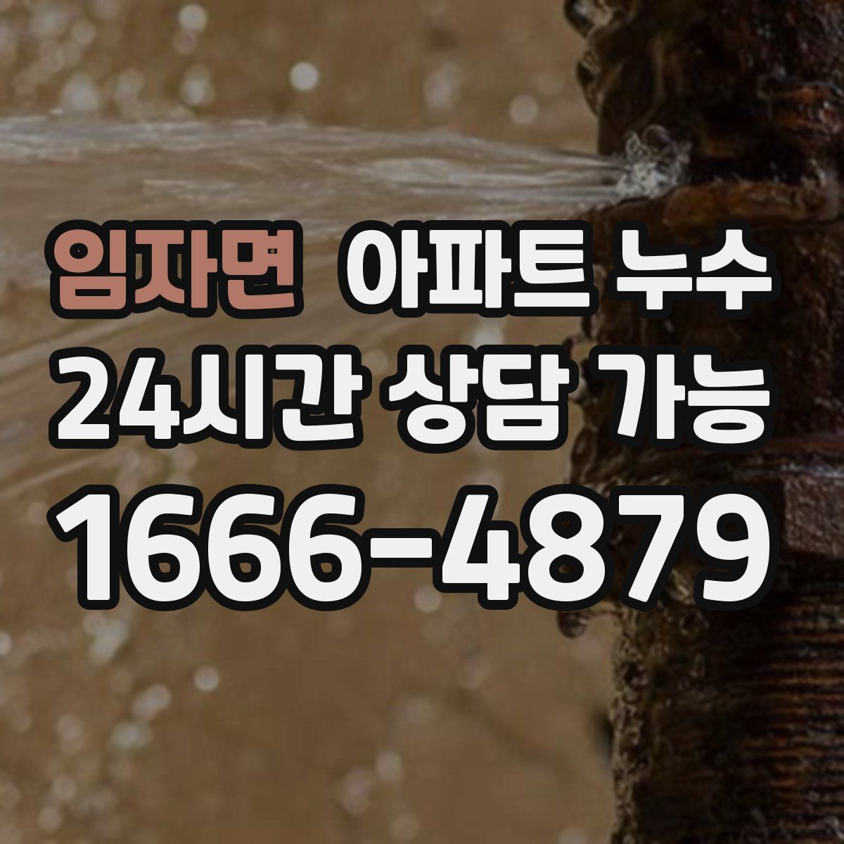 임자면 아파트 누수탐지