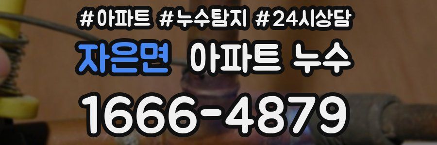 자은면 누수탐지