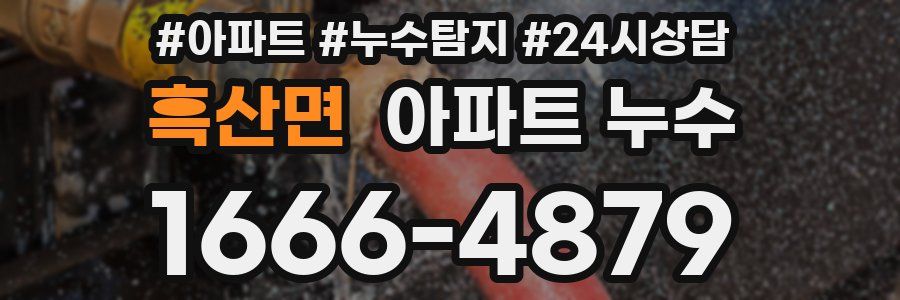 흑산면 누수탐지