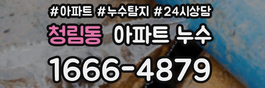 청림동 누수탐지