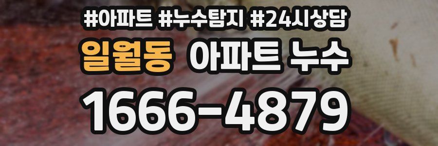 일월동 누수탐지