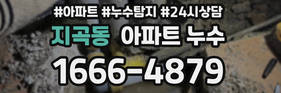 지곡동 누수탐지