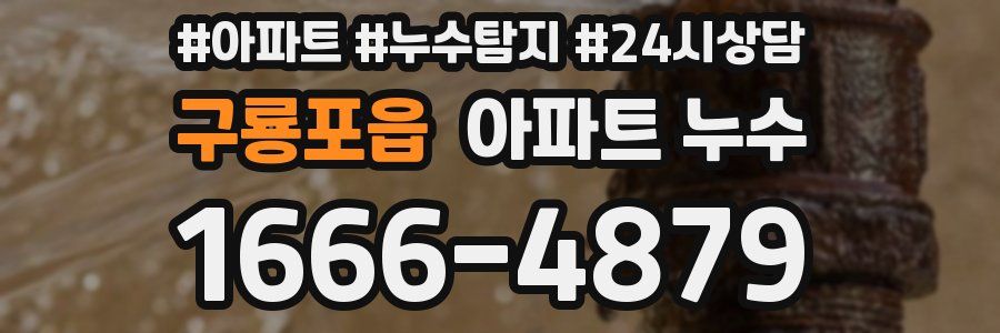 구룡포읍 누수탐지