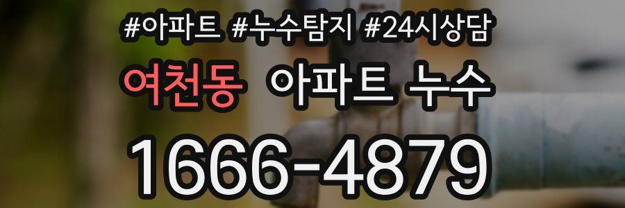 여천동 누수탐지