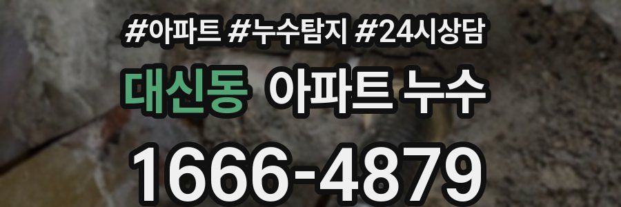 대신동 누수탐지