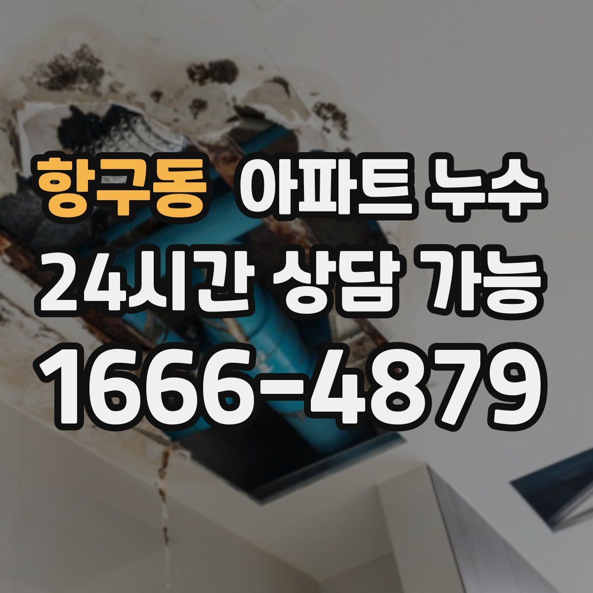 항구동 아파트 누수탐지