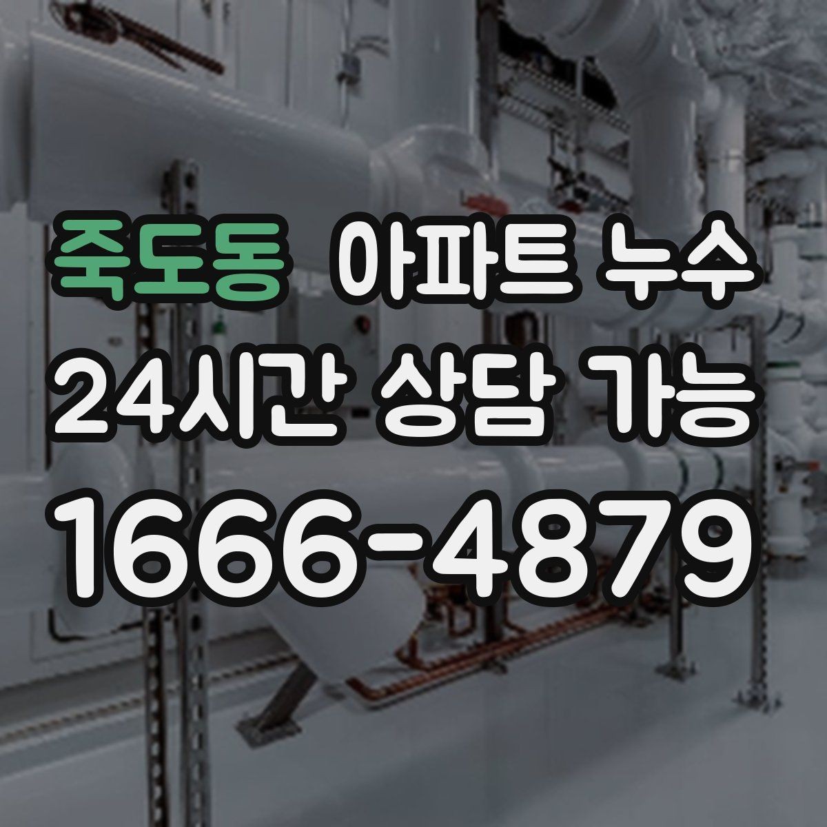 죽도동 아파트 누수 피해 확산 전 점검으로 끝내는 방법