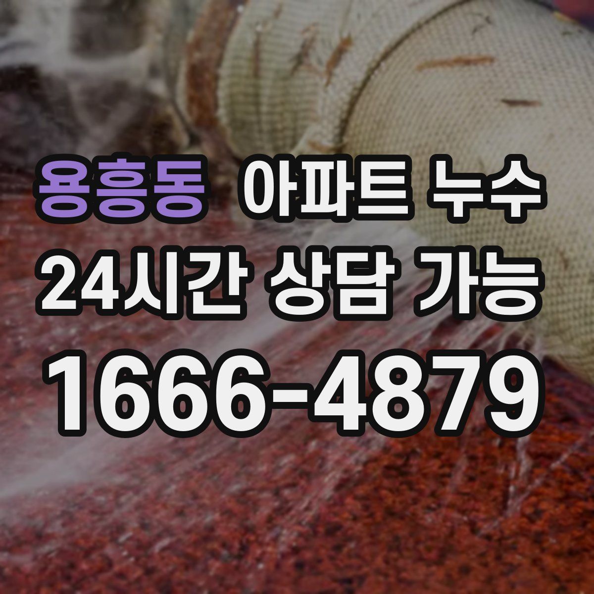 용흥동 아파트 누수탐지