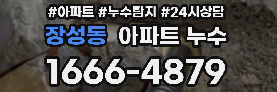 장성동 누수탐지