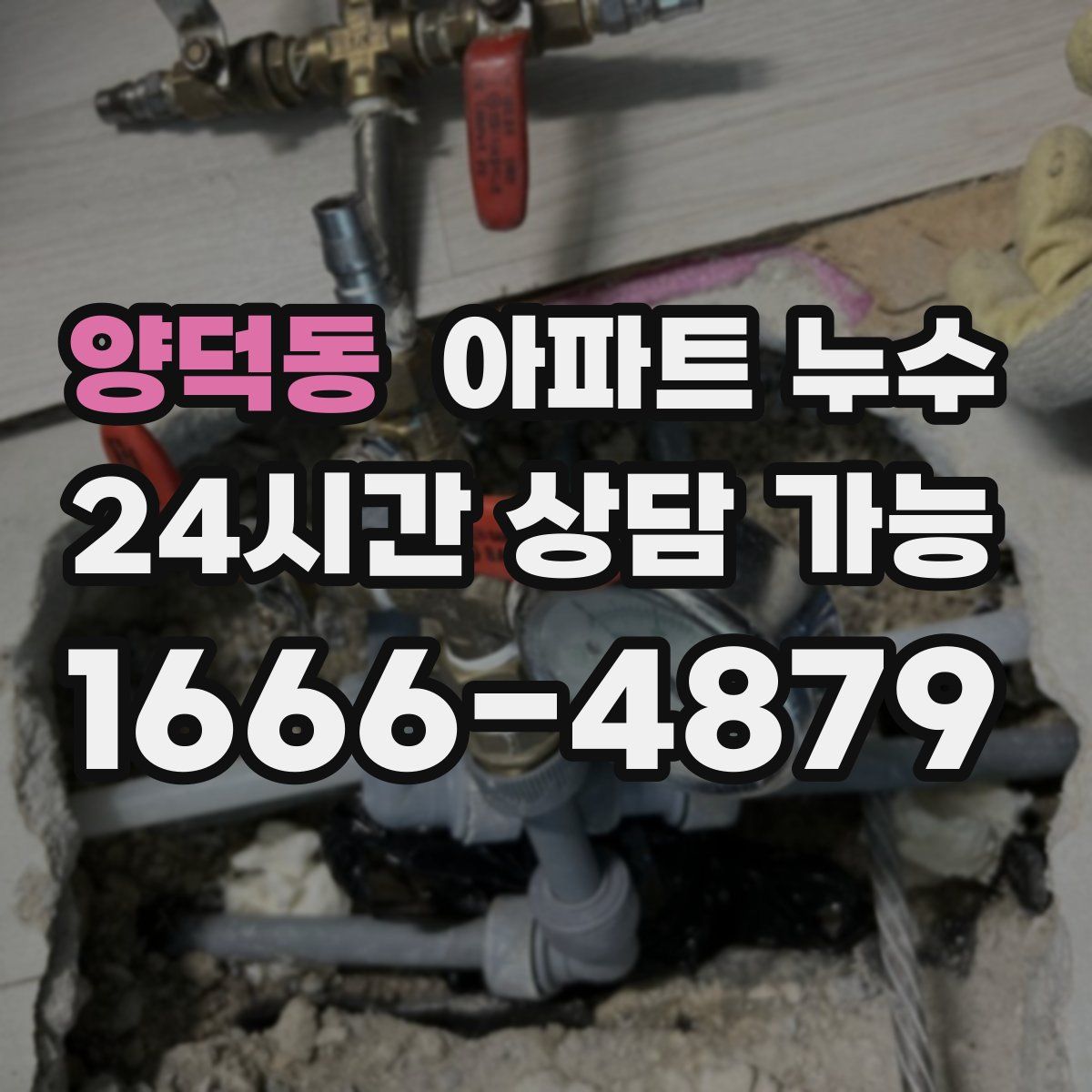 양덕동 아파트 누수탐지