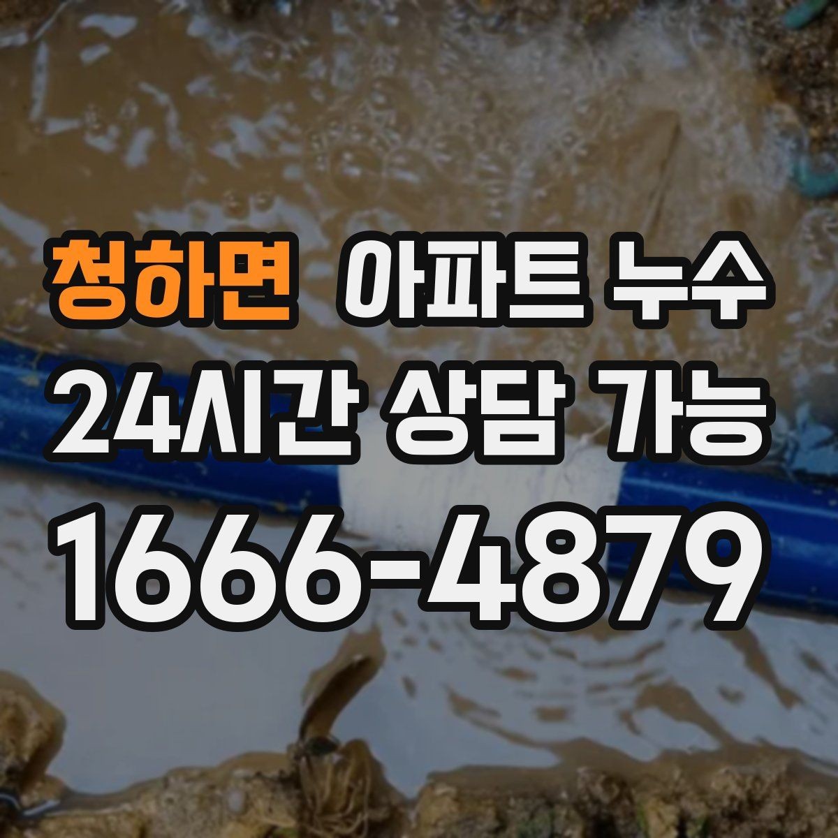 청하면 아파트 누수 간헐적으로 젖었다 마를 때 비용 커지기 전 피해 최소화