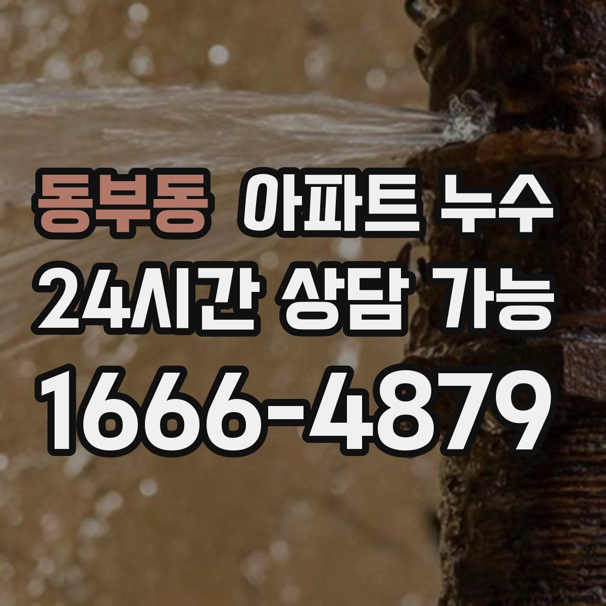 동부동 아파트 누수탐지