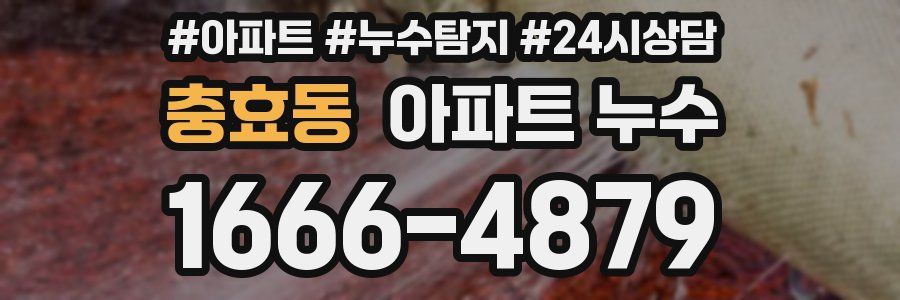 충효동 누수탐지