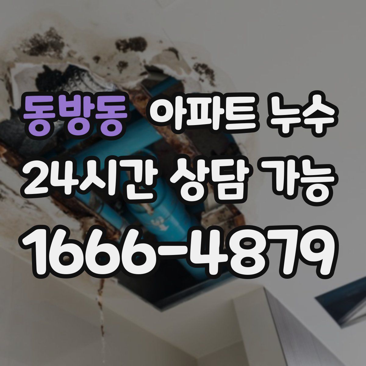 동방동 아파트 누수탐지