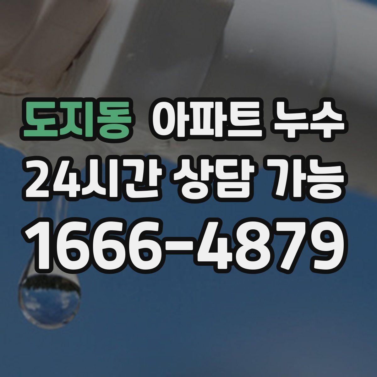 도지동 아파트 누수 신발장 주변 습기와 곰팡이 원인