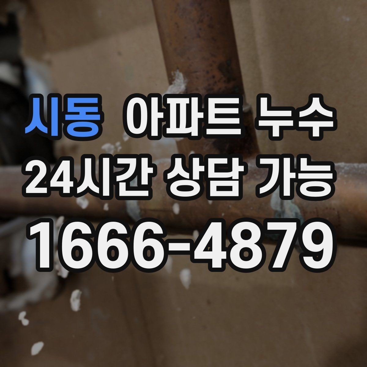 시동 아파트 누수 결로와 헷갈릴 때 구분 포인트 정리